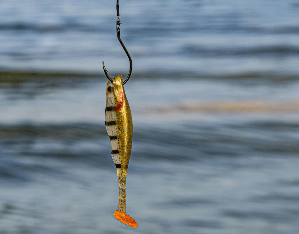 Phishing