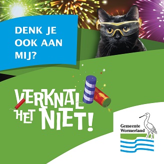 Vuurwerkcampagne verknal het niet: kat met vuurwerkbril