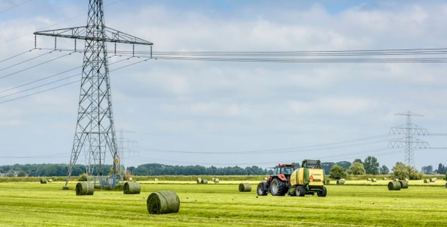 Hoogspanningmast in het weiland 